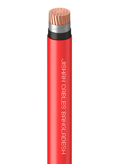 NYY-FiR-1C